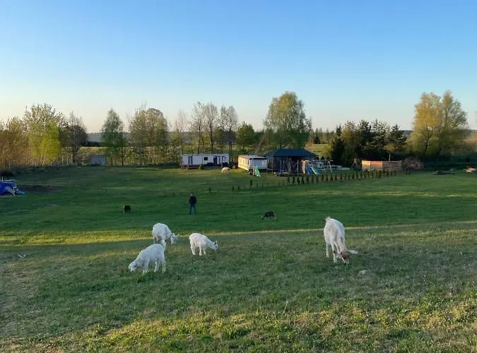 Parco vacanze Nad Stawami